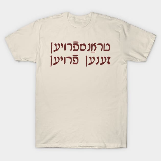 Trans Women Are Women (Yiddish, Vaybertaytsh) T-Shirt by dikleyt